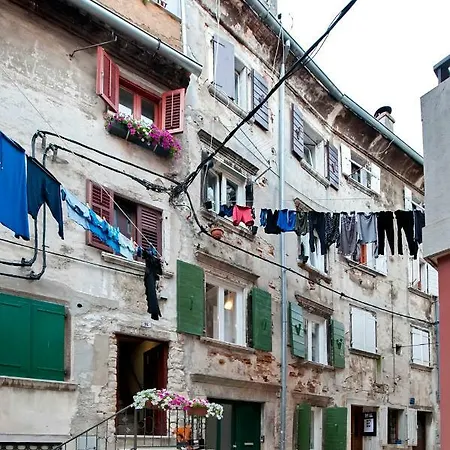 Ca' 1620 - Rosa Selvatica