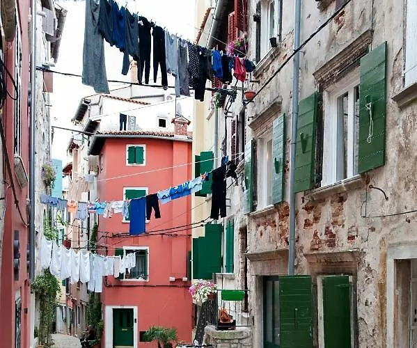 Apartman Ca' 1620 - Rosa Selvatica